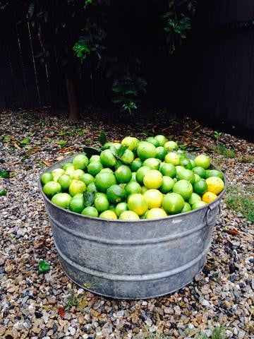 When life gives you limes…